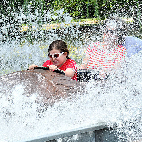 Camden log flume